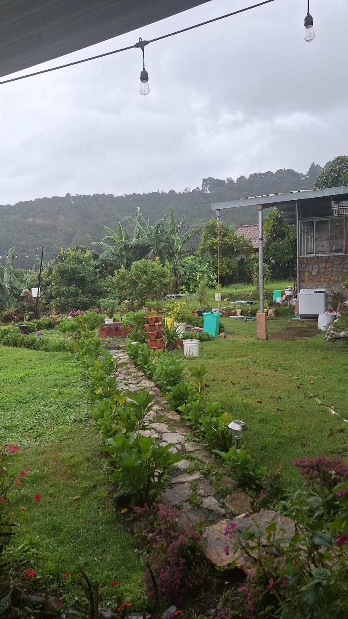Hostal Vista Boquete Bajo Boquete 외부 사진