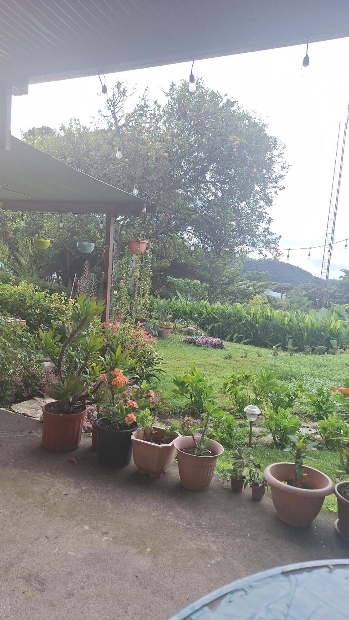 Hostal Vista Boquete Bajo Boquete 외부 사진