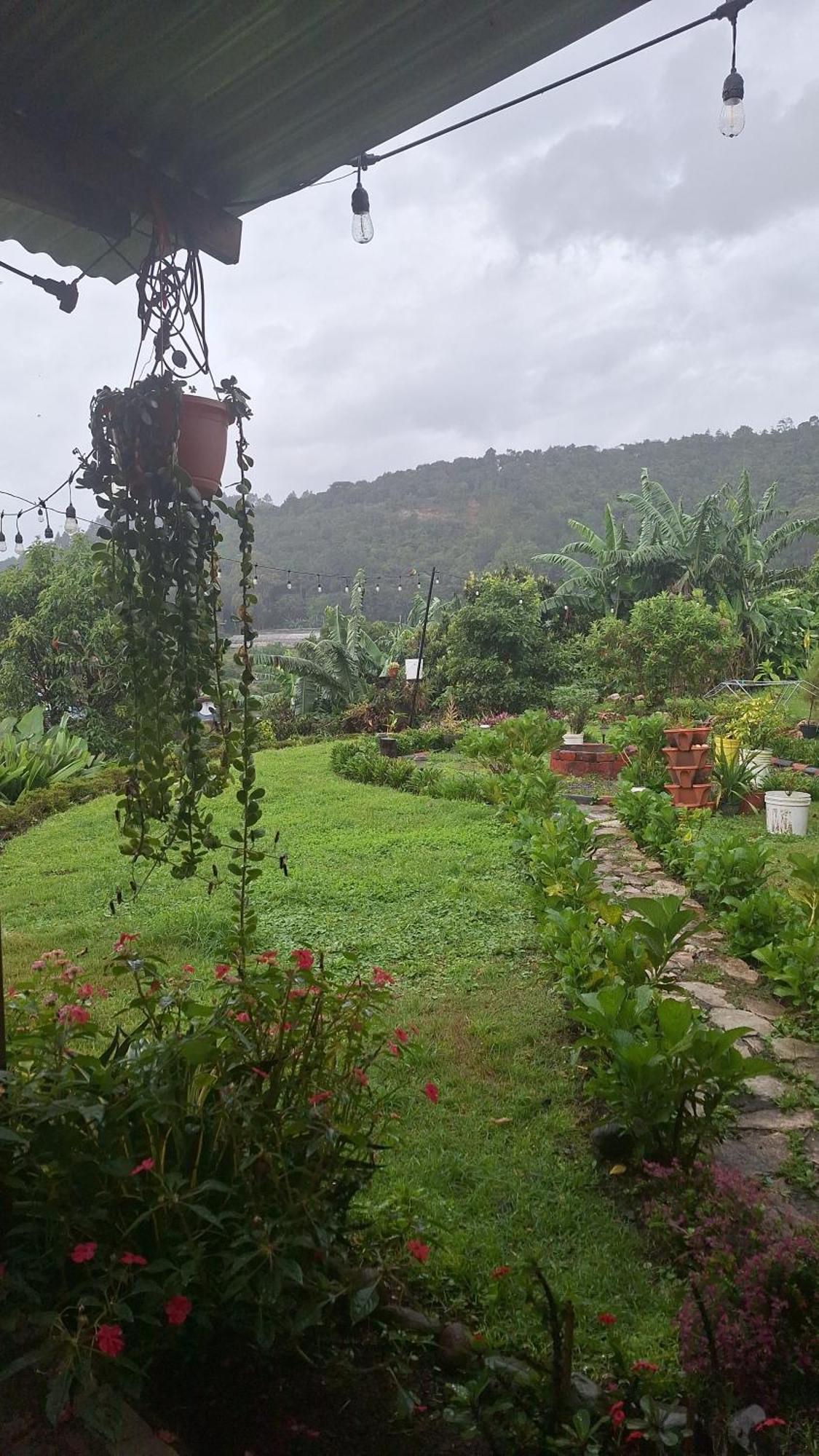 Hostal Vista Boquete Bajo Boquete 외부 사진
