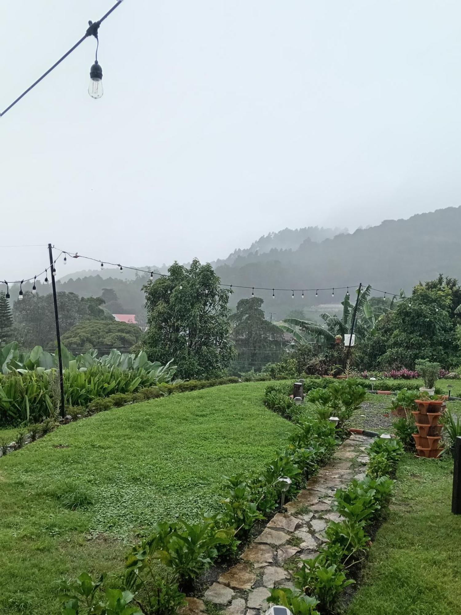 Hostal Vista Boquete Bajo Boquete 외부 사진