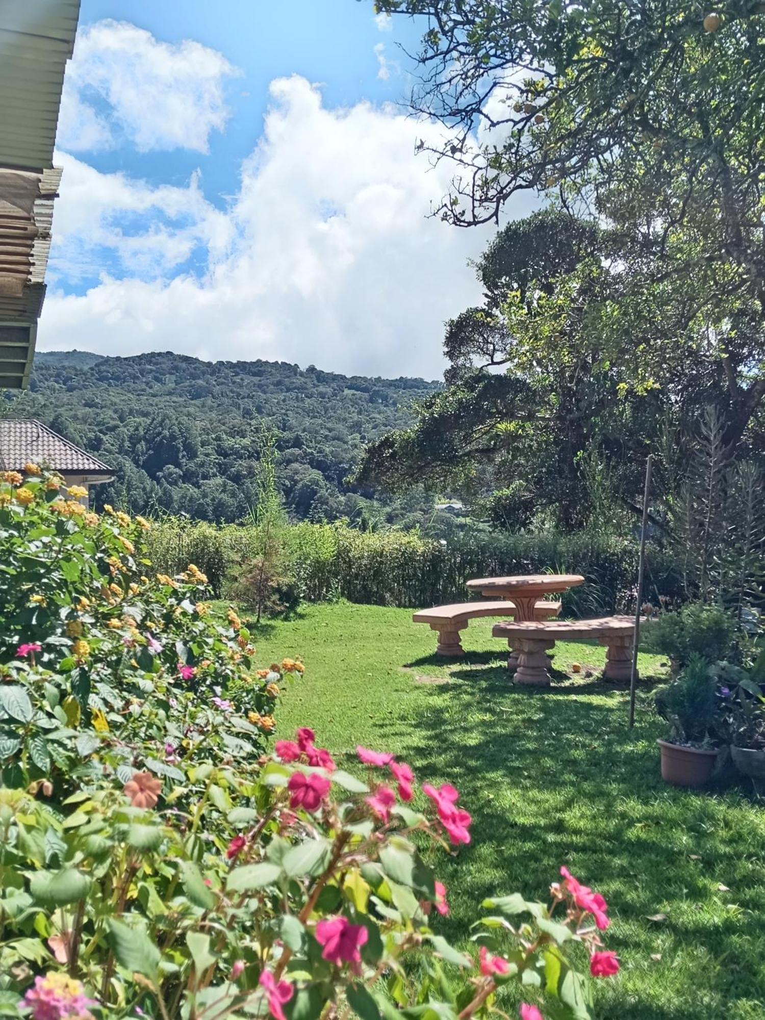 Hostal Vista Boquete Bajo Boquete 외부 사진