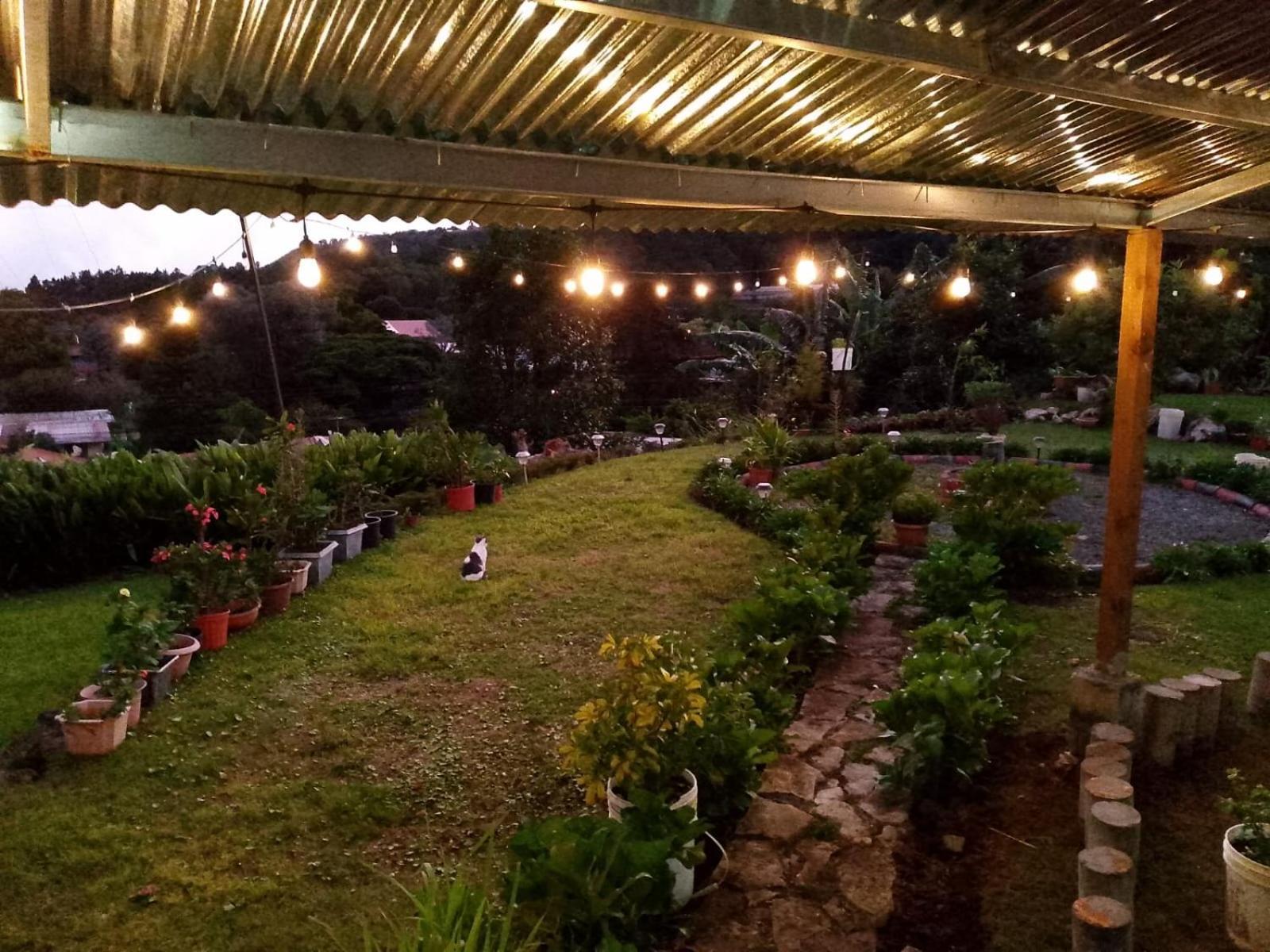 Hostal Vista Boquete Bajo Boquete 외부 사진