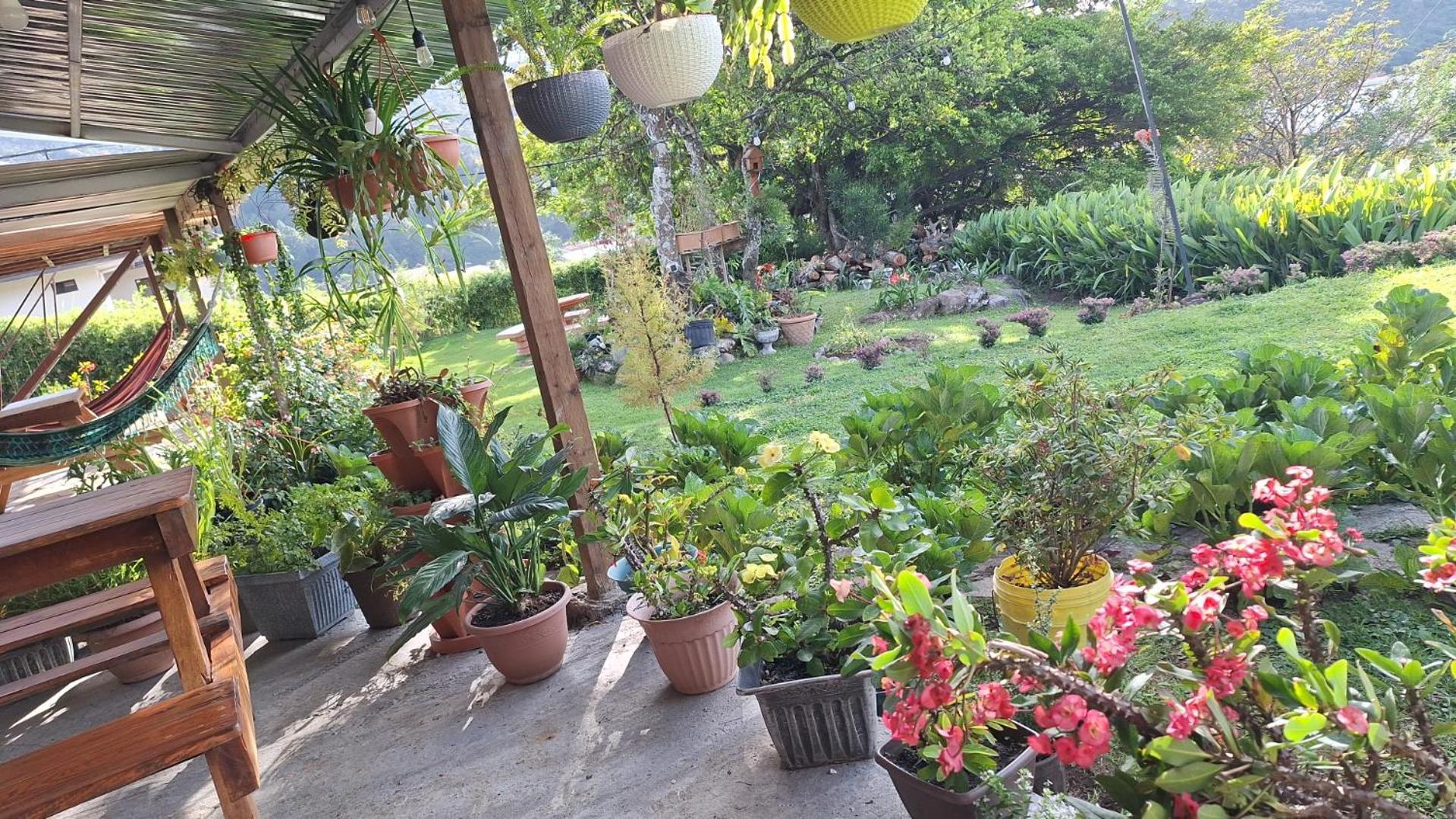 Hostal Vista Boquete Bajo Boquete 외부 사진