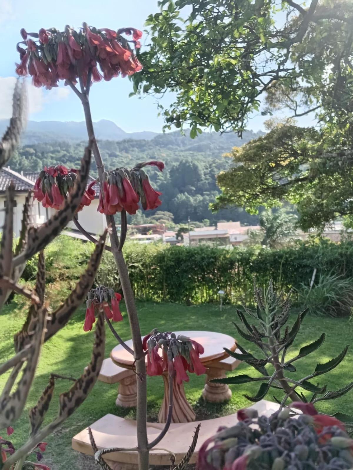 Hostal Vista Boquete Bajo Boquete 외부 사진