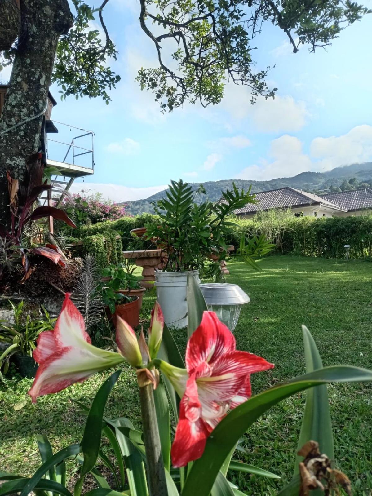 Hostal Vista Boquete Bajo Boquete 외부 사진
