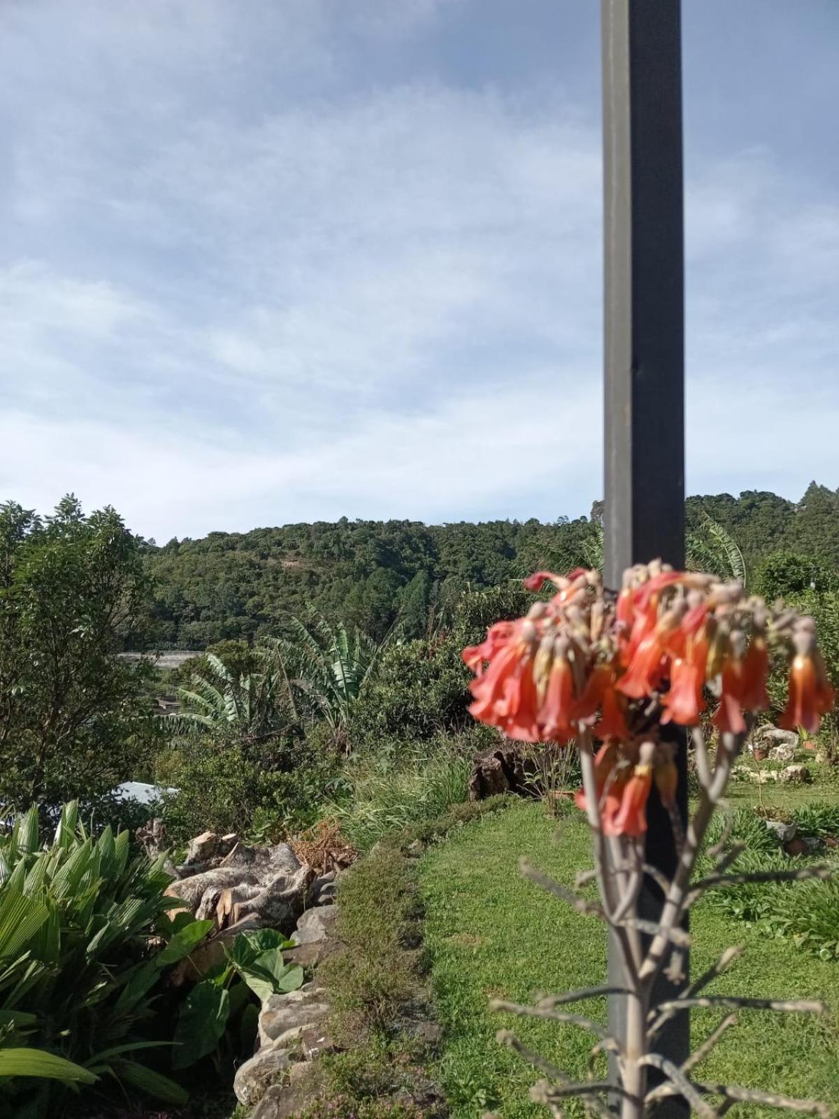 Hostal Vista Boquete Bajo Boquete 외부 사진