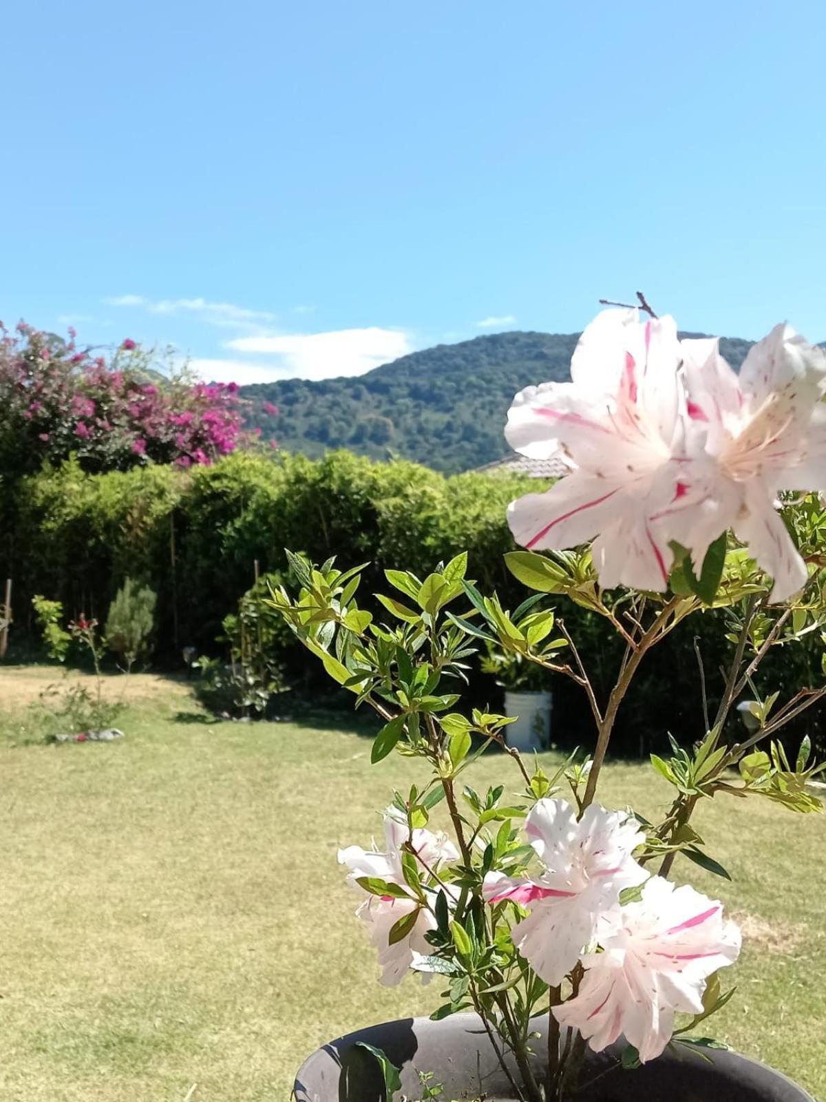 Hostal Vista Boquete Bajo Boquete 외부 사진