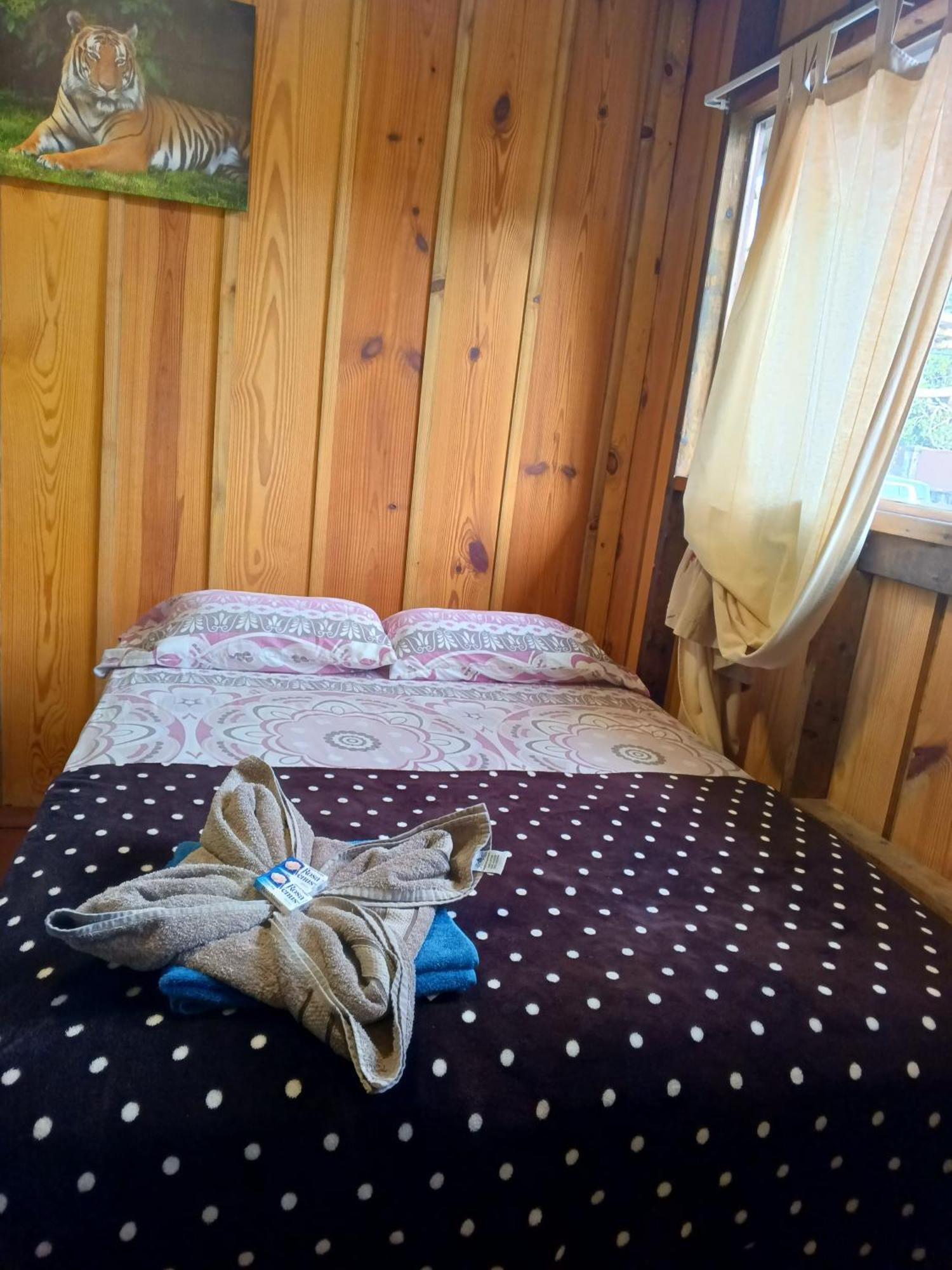Hostal Vista Boquete Bajo Boquete 외부 사진