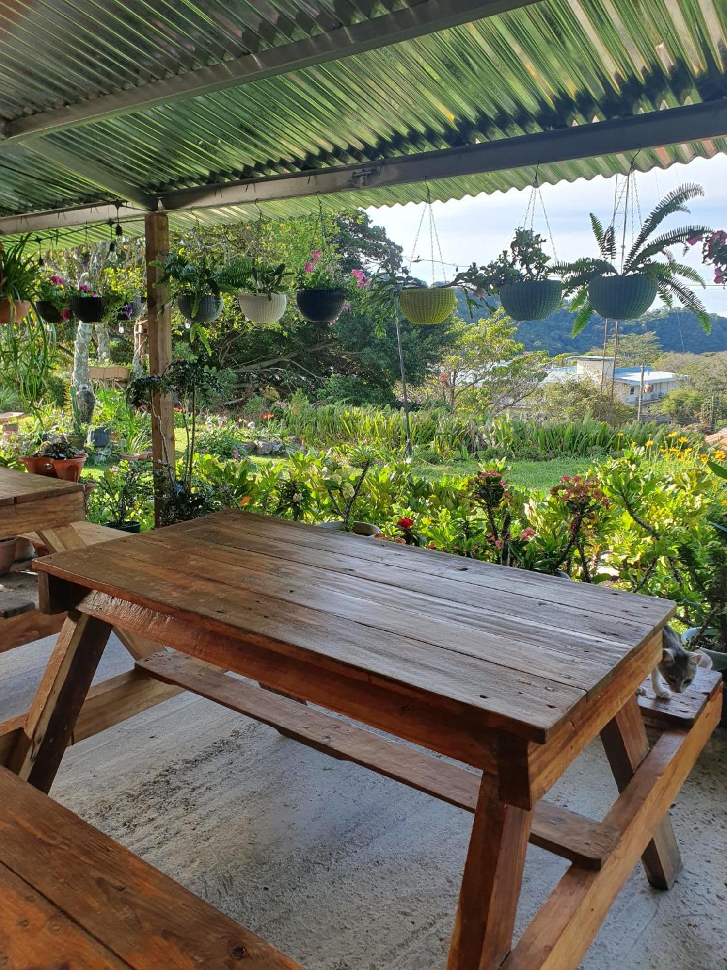 Hostal Vista Boquete Bajo Boquete 외부 사진