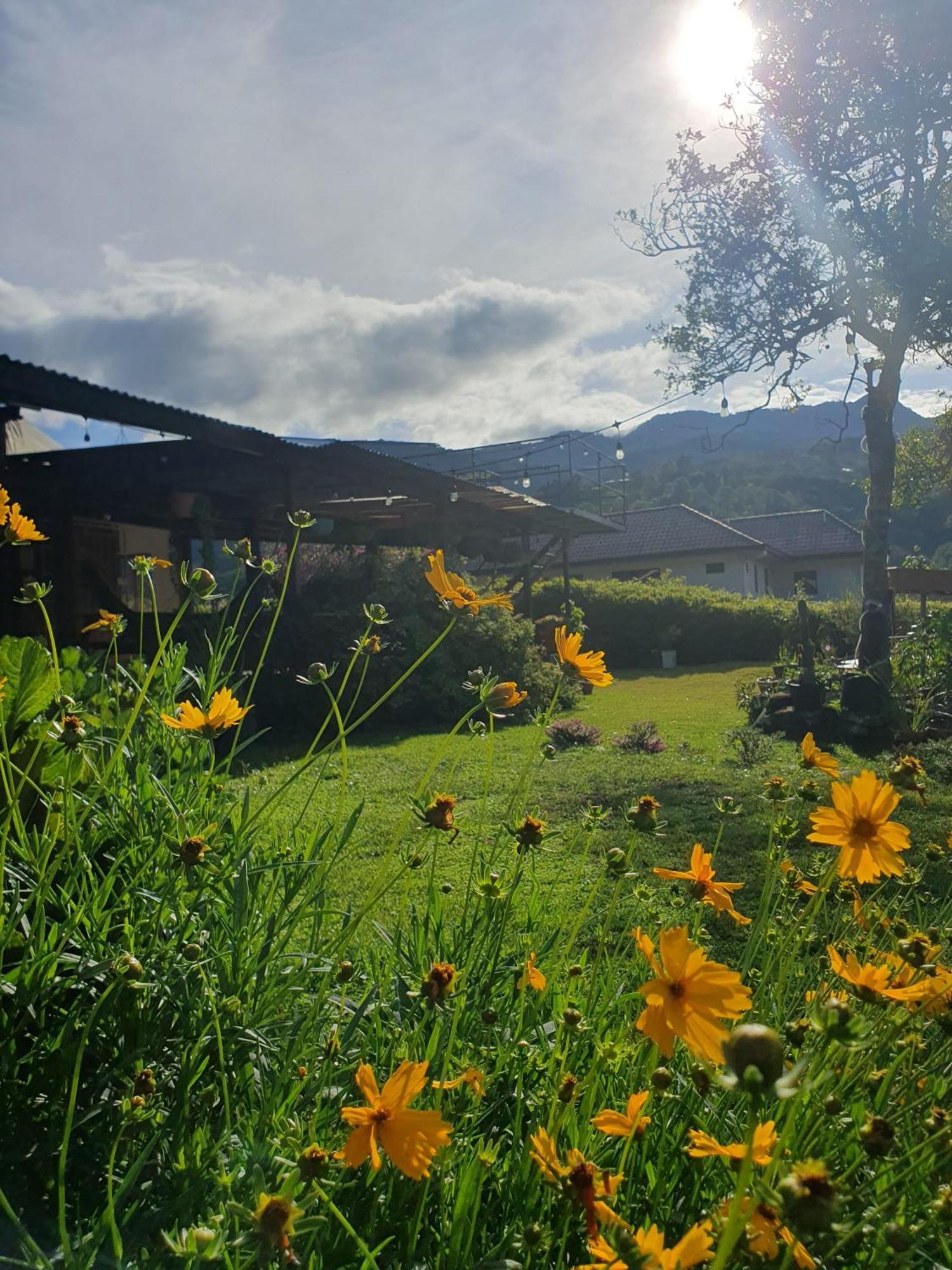 Hostal Vista Boquete Bajo Boquete 외부 사진
