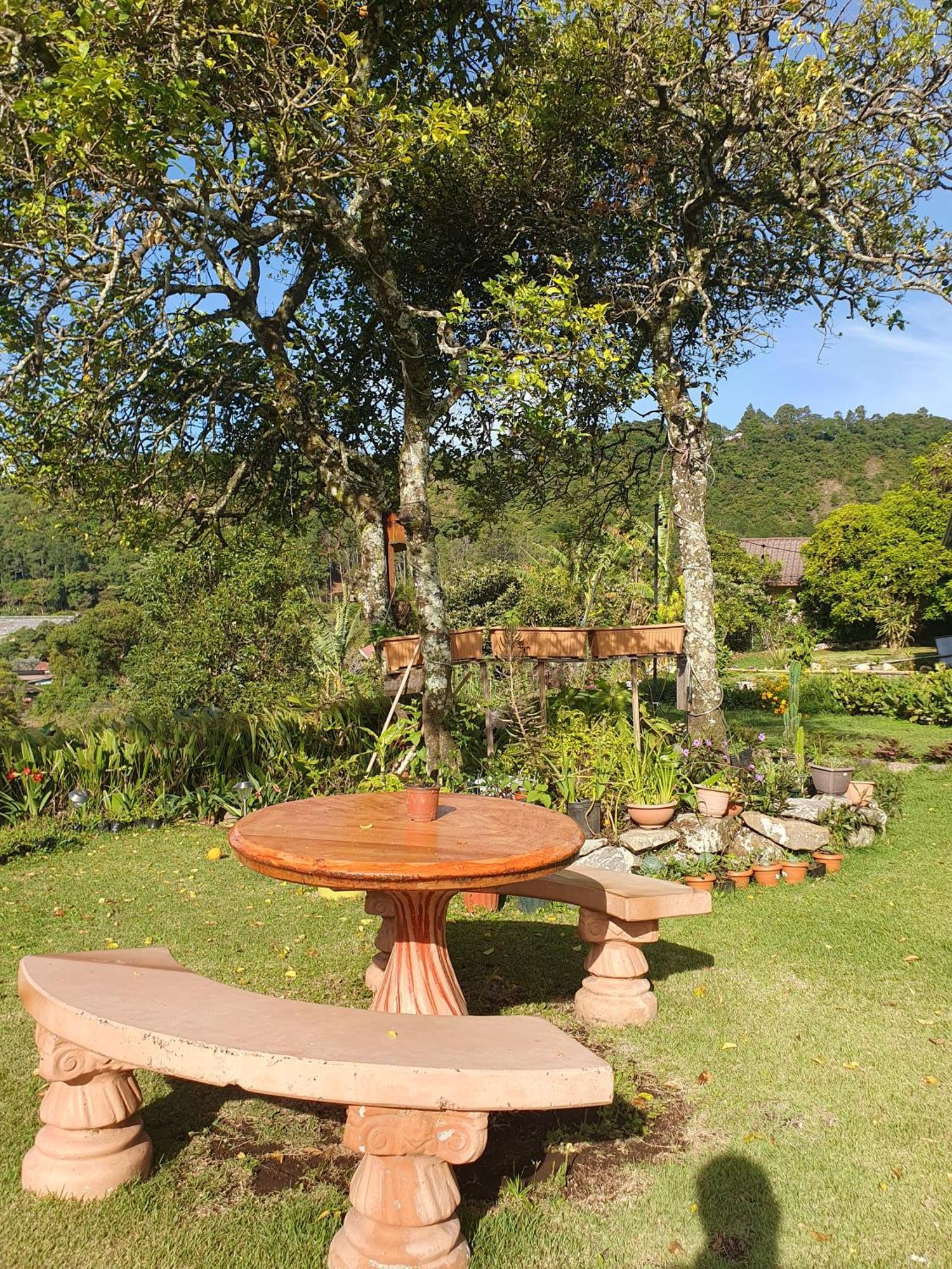 Hostal Vista Boquete Bajo Boquete 외부 사진