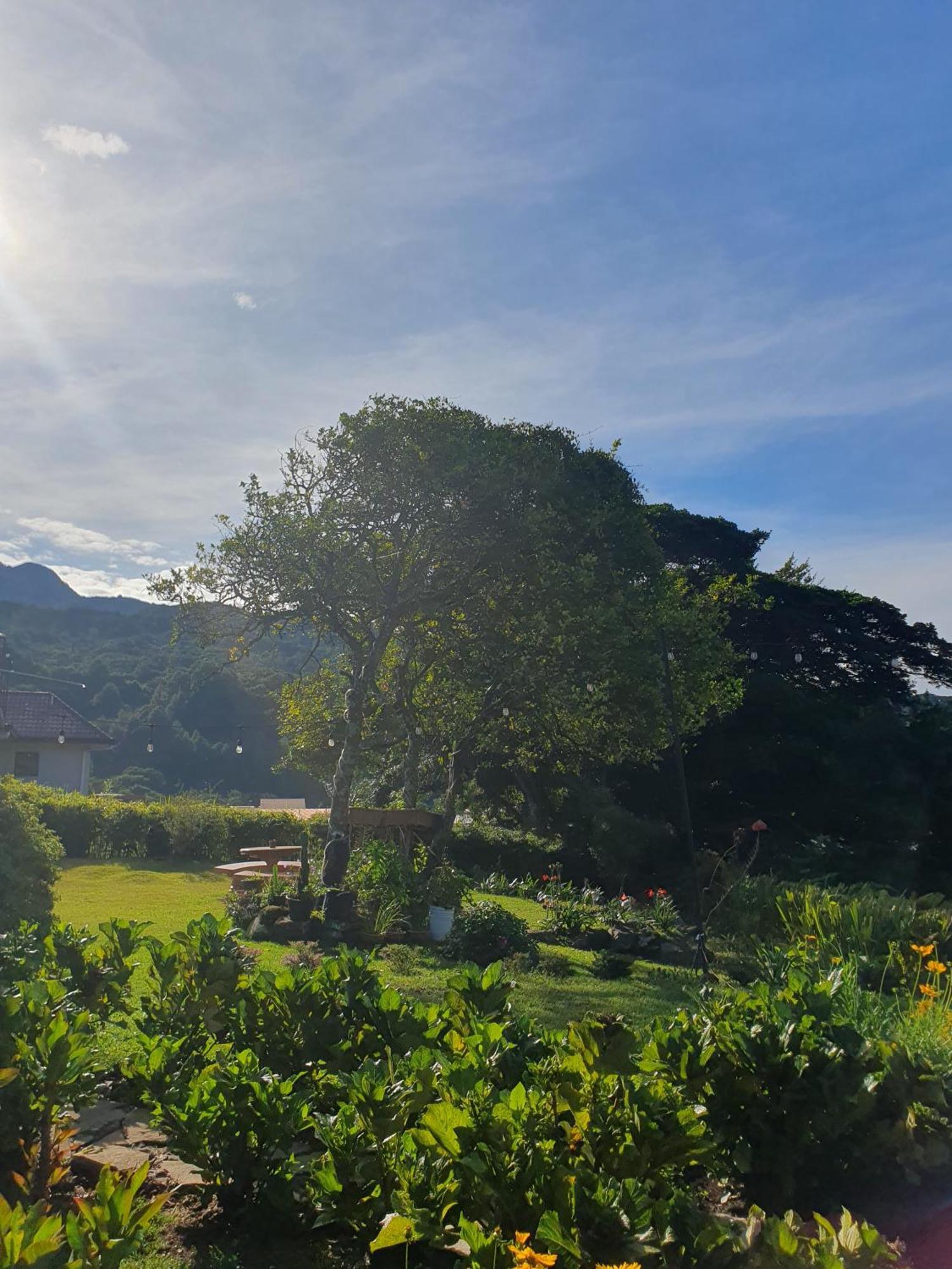 Hostal Vista Boquete Bajo Boquete 외부 사진